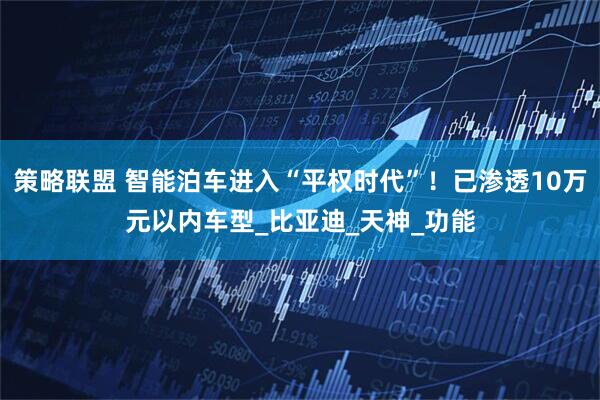 策略联盟 智能泊车进入“平权时代”！已渗透10万元以内车型_比亚迪_天神_功能