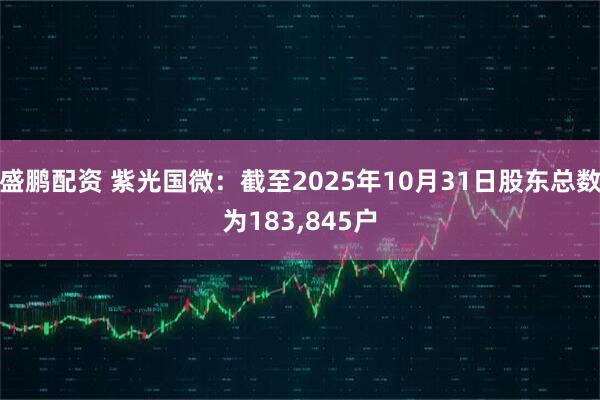 盛鹏配资 紫光国微：截至2025年10月31日股东总数为183,845户